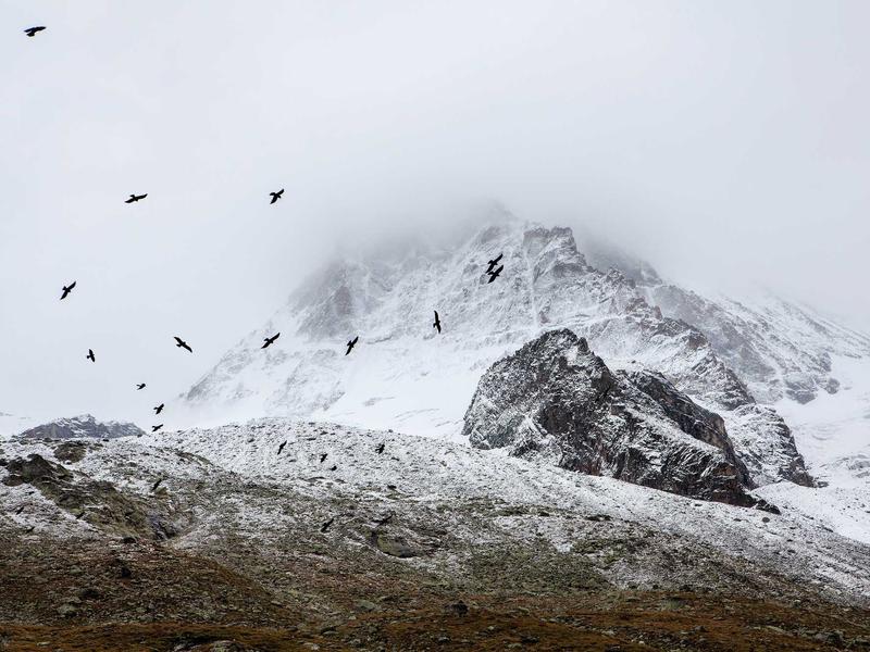 sudoku slice and dice screenshot 1